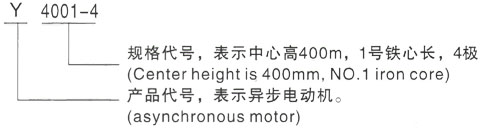 西安泰富西玛Y系列(H355-1000)高压YKS5003-10三相异步电机型号说明