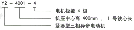 YR系列(H355-1000)高压YKS5003-10三相异步电机西安西玛电机型号说明